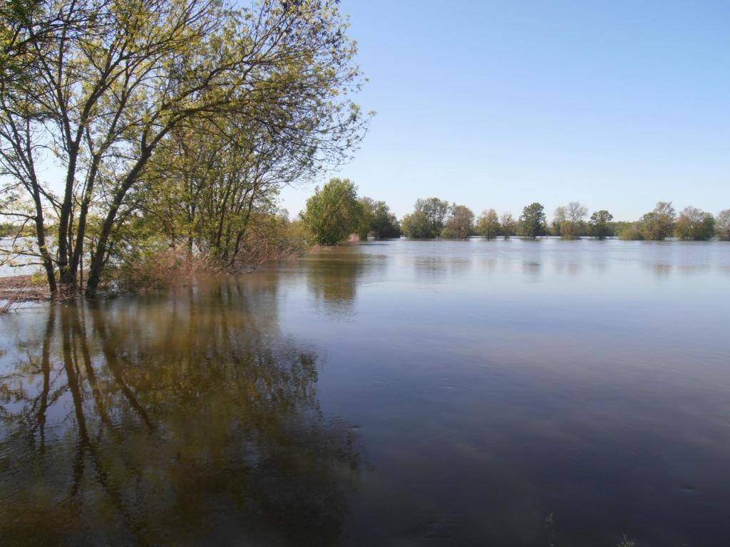 Chateau Sainte Marie Hotell Dompierre-sur-Charente Exteriör bild